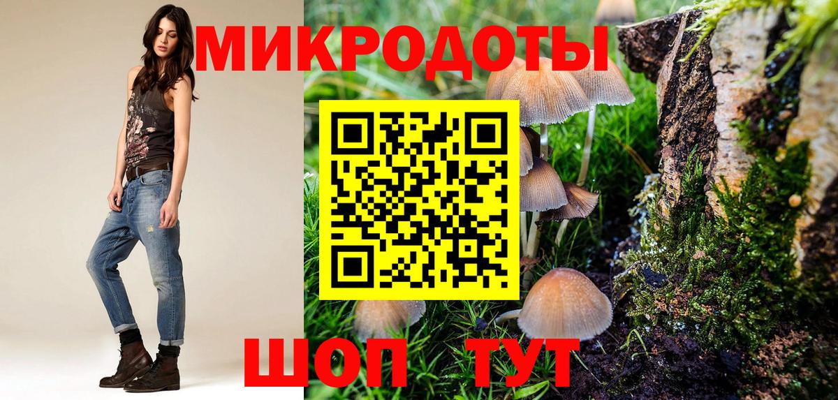 Каменск-Шахтинский  Псилоцибиновые грибы Psilocybine cubensis  Вход с VPN  Псилоцибиновые грибы Psilocybe 